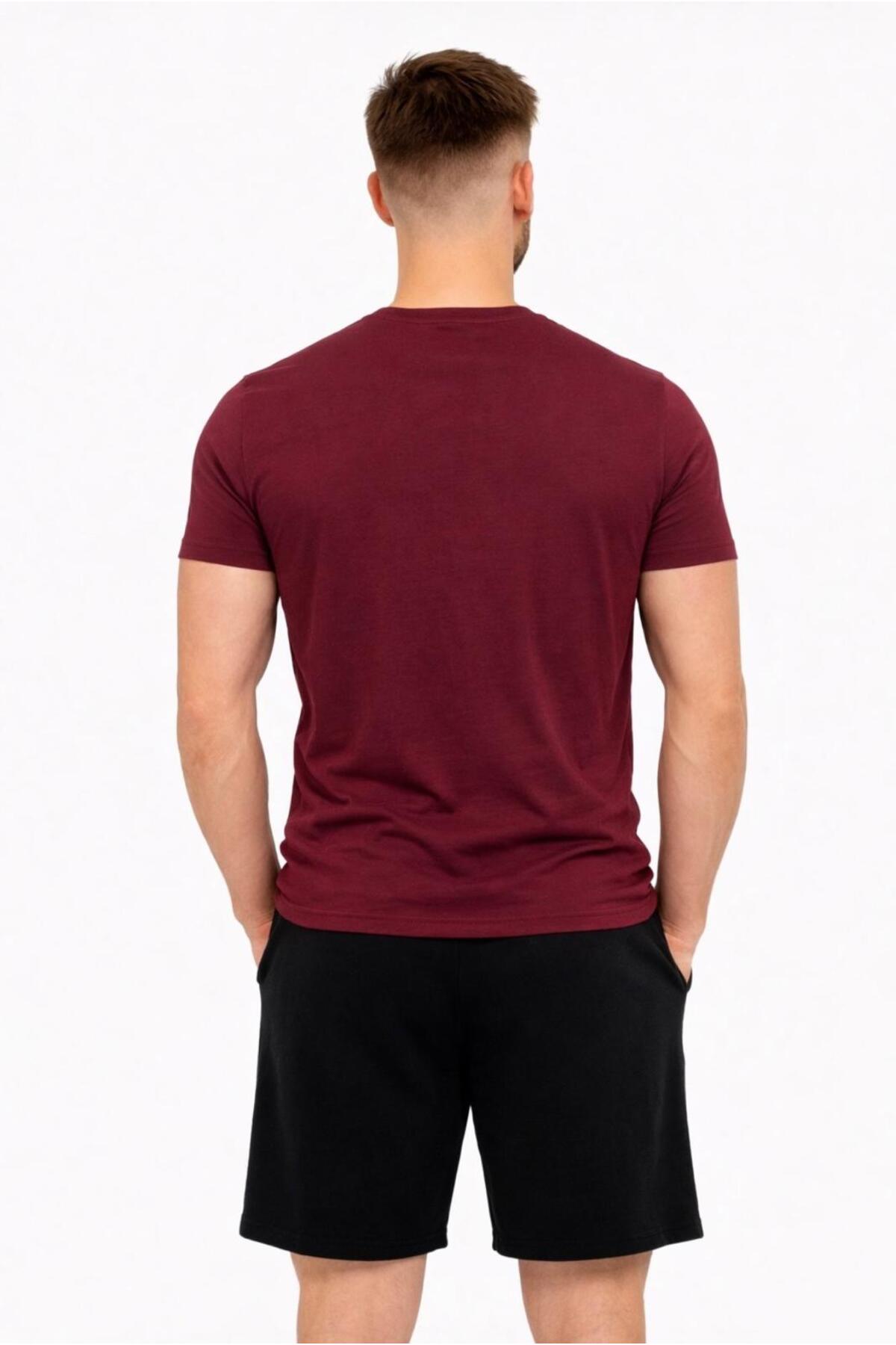 Erkek Pamuk Likralı Süprem Kısa Kollu-T-shirt-D230